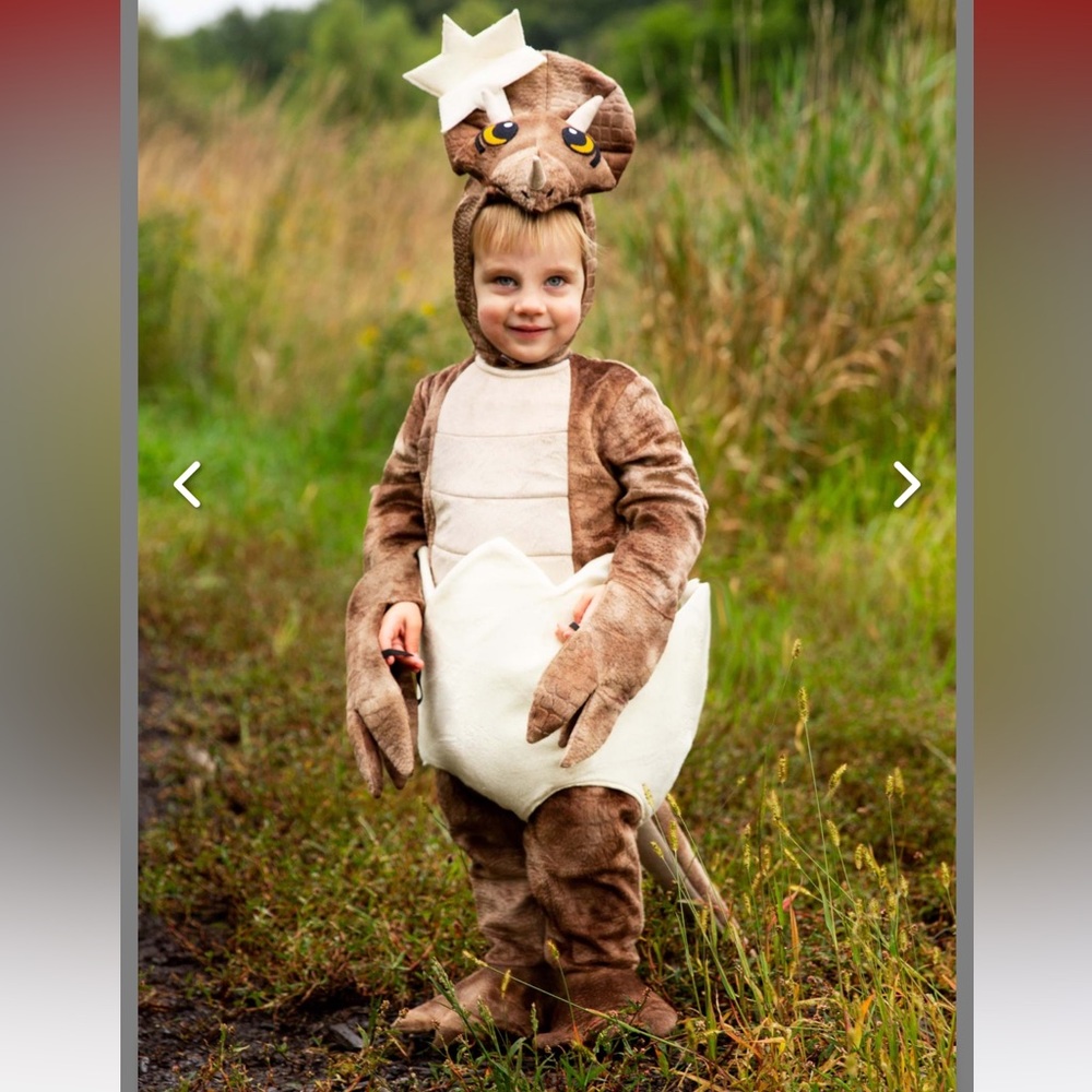 Toddler Tiny Triceratops Halloween
Costume